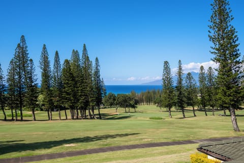 Step out onto your private lanai and follow the gentle walking path toward sweeping ocean views.