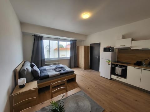 Suite | 1 bedroom, free WiFi