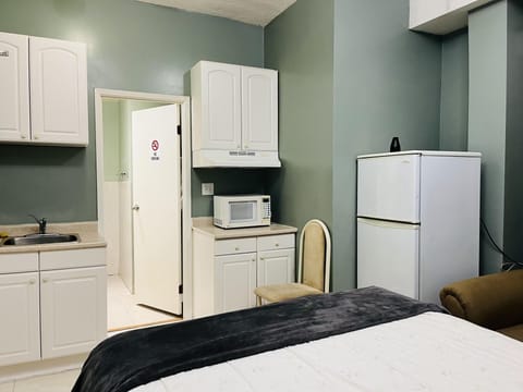 Superior Studio Suite | Iron/ironing board, free WiFi