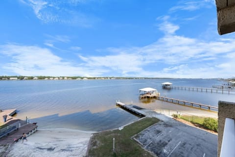 19 CP308 VIEW