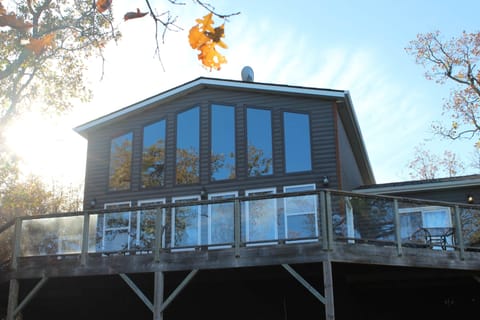 Egals nest