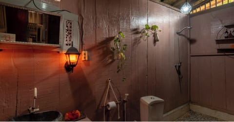 Comfort Cottage, 1 King Bed, Garden View | Bathroom | Shower, towels, soap, shampoo