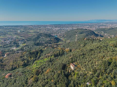 Vegetation, Landscape, Bird'S-Eye View, Hill Station, Aerial Photography, Jungle, Chaparral, Shrubland, Tropical And Subtropical Coniferous Forests
