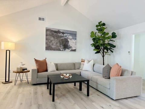 Minimal decor accented with sublet colorful details make this living room the perfect room to relax in. 