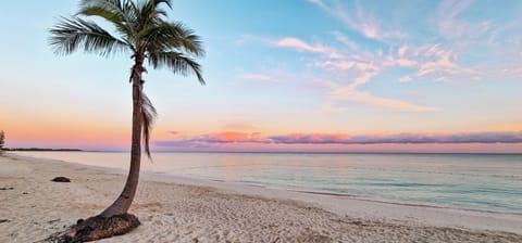 Studio, 1 Bedroom, Patio, Garden View | Beach
