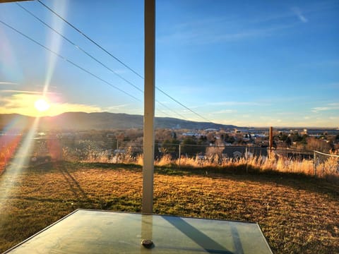 Fenced backyard and patio furniture