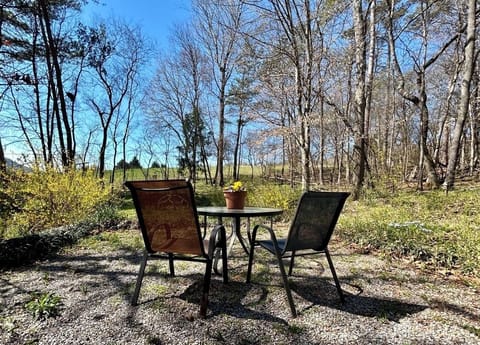 Backyard Dining Area