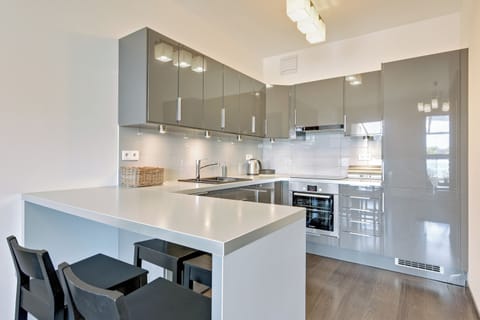 Deluxe Apartment | Private kitchenette | Coffee/tea maker, electric kettle, highchair, griddle