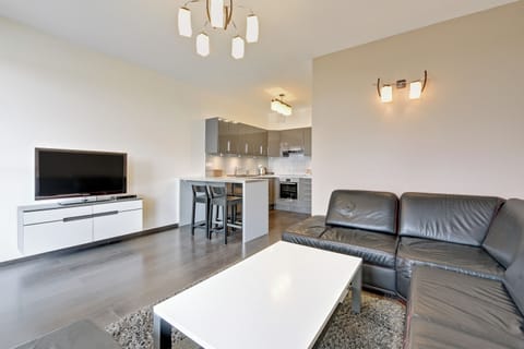 Deluxe Apartment | 1 bedroom, hypo-allergenic bedding, individually decorated