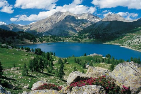 Region [summer] (>5 km)