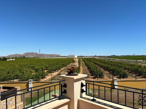 Villa | Property grounds