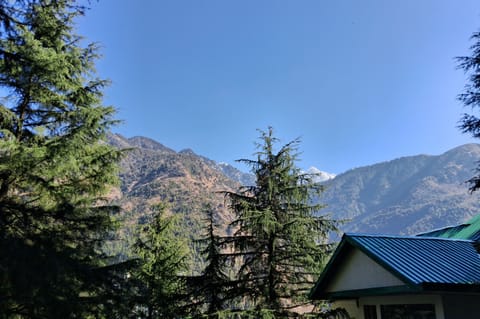 Double Room, Mountain View