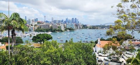 Actual view from apartment