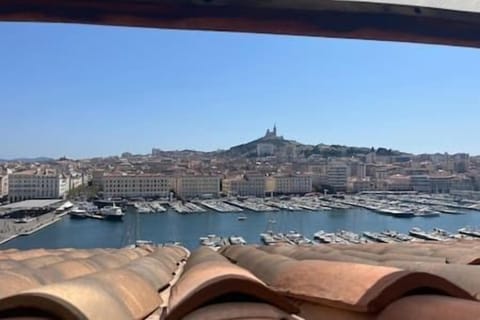 Old Port view