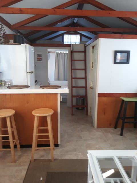 Conch Shell: Aqua Lodge, 1 Bedroom, Bay View | Private kitchen | Fridge, microwave, coffee/tea maker, toaster