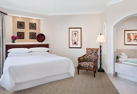 Master Bedroom with jacuzzi