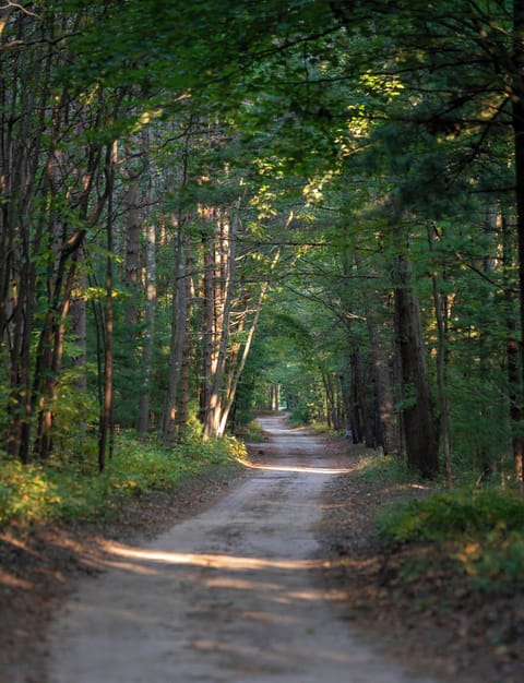Drive of Scenic Drive Resort