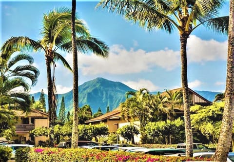 BEAUTIFUL PRINCEVILLE