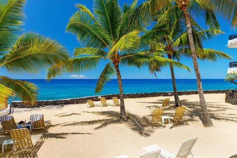 Condo, 1 Queen Bed (Casa De Emdeko 134) | Beach