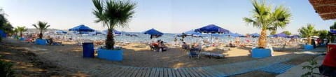 Scuba diving, water skiing, windsurfing, motor boating