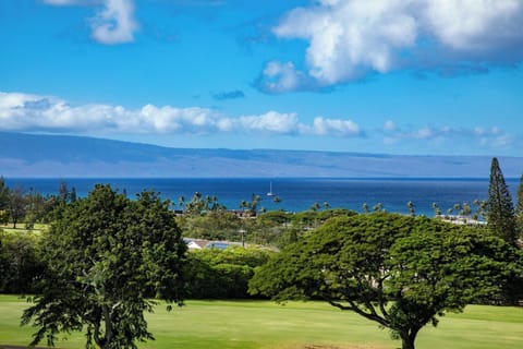 Sailboats on the horizon, palm trees in the breeze, and fairways below—Kapalua views don’t get better than this   
