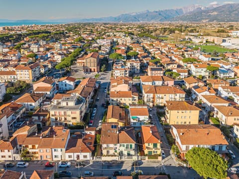 Urban Area, Daytime, Residential Area, City, Bird'S-Eye View, Landscape, Neighbourhood, Town, Horizon, Metropolitan Area