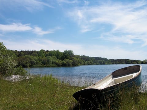 Herring Pond - Right in our backyard