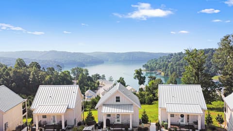 Amazing view of Norris Lake from this cottage