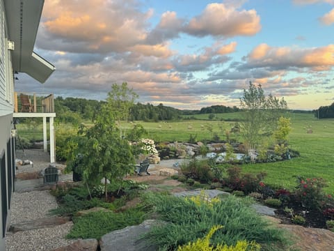 View of Garden and Pond