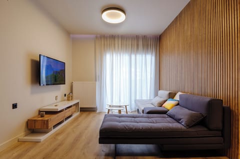 Beautiful modern apartment