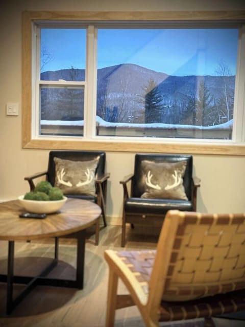 Views of the mountain from the living room