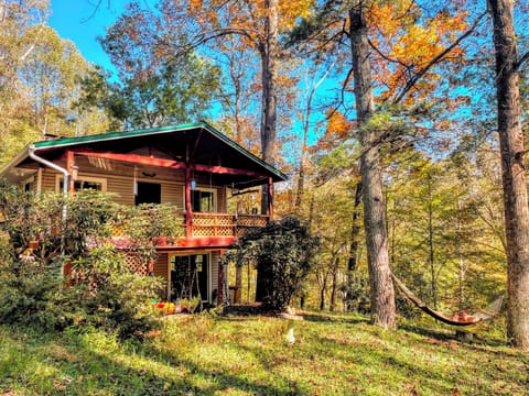 Stunning fall foliage surrounding your private mountain cabin escape.