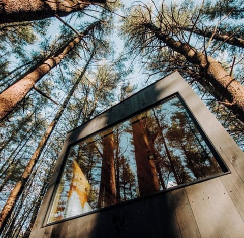 Large Window