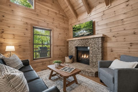 Living Room with Gas Fireplace
