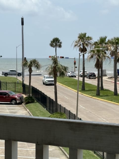 Palm-lined street view with a peek of the ocean just steps away