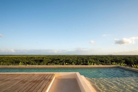 Rooftop Pool, Infinity, Lap Pool