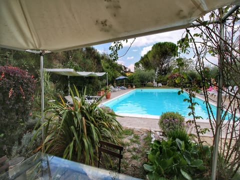 Holiday Home Swimming Pool