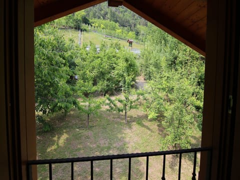 View from Holiday Home [summer]
