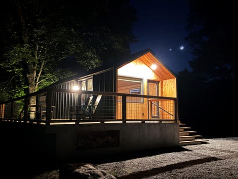 Cozy modern cabin tucked beneath the stars