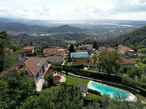 Garden, Outdoor, Pool