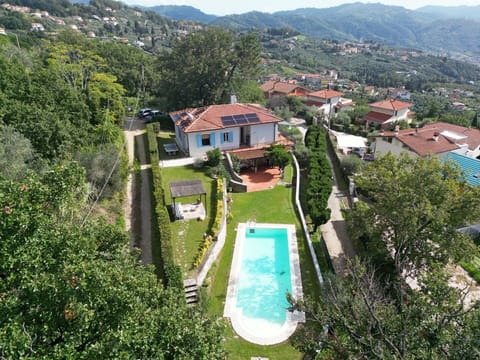 Garden, Outdoor, Pool