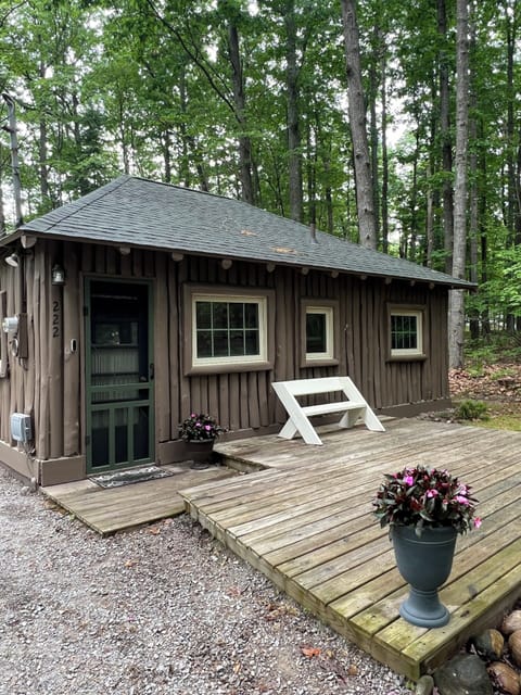 OVERALL:  The front of the cabin in summer