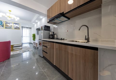 Deluxe Apartment, River View | Private kitchen | Electric kettle