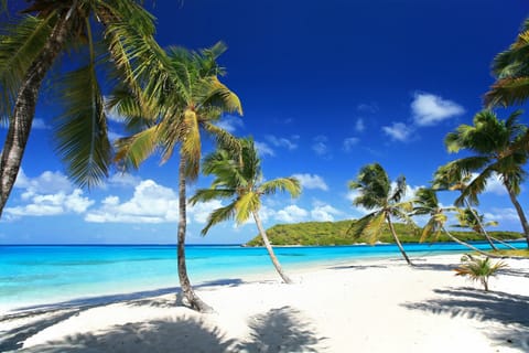 On the beach, white sand, sun loungers, beach umbrellas