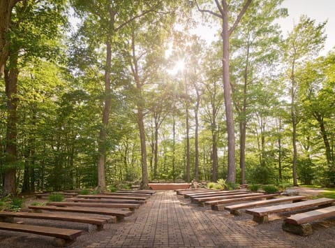 Tranquil outdoor seating area nestled in a forest setting, with sunbeams filtering through the trees for a serene escape in nature.