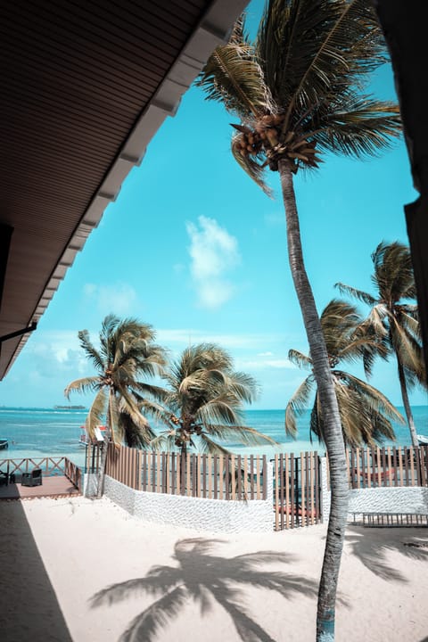 On the beach, white sand, beach umbrellas, beach towels