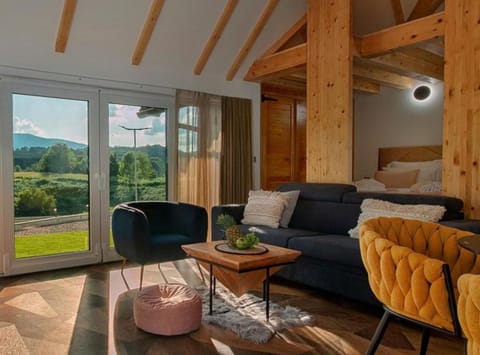 House (Mountain View Resort (Tina)) | Room amenity