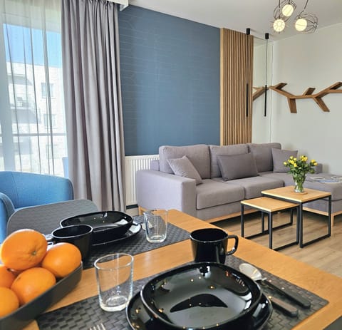 Comfort Apartment, Balcony | Living area | 50-inch LCD TV with cable channels