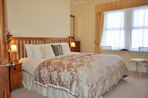 Deluxe Double or Twin Room, 1 Queen Bed | Iron/ironing board, free WiFi, bed sheets