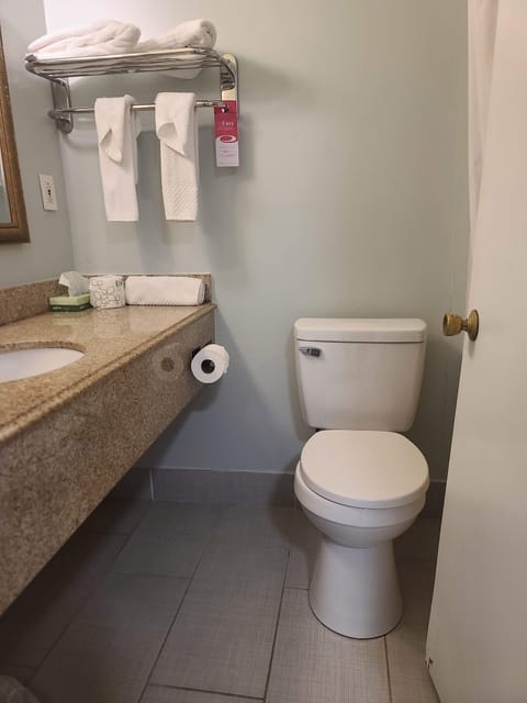 Suite | Bathroom | Free toiletries, hair dryer, towels, soap